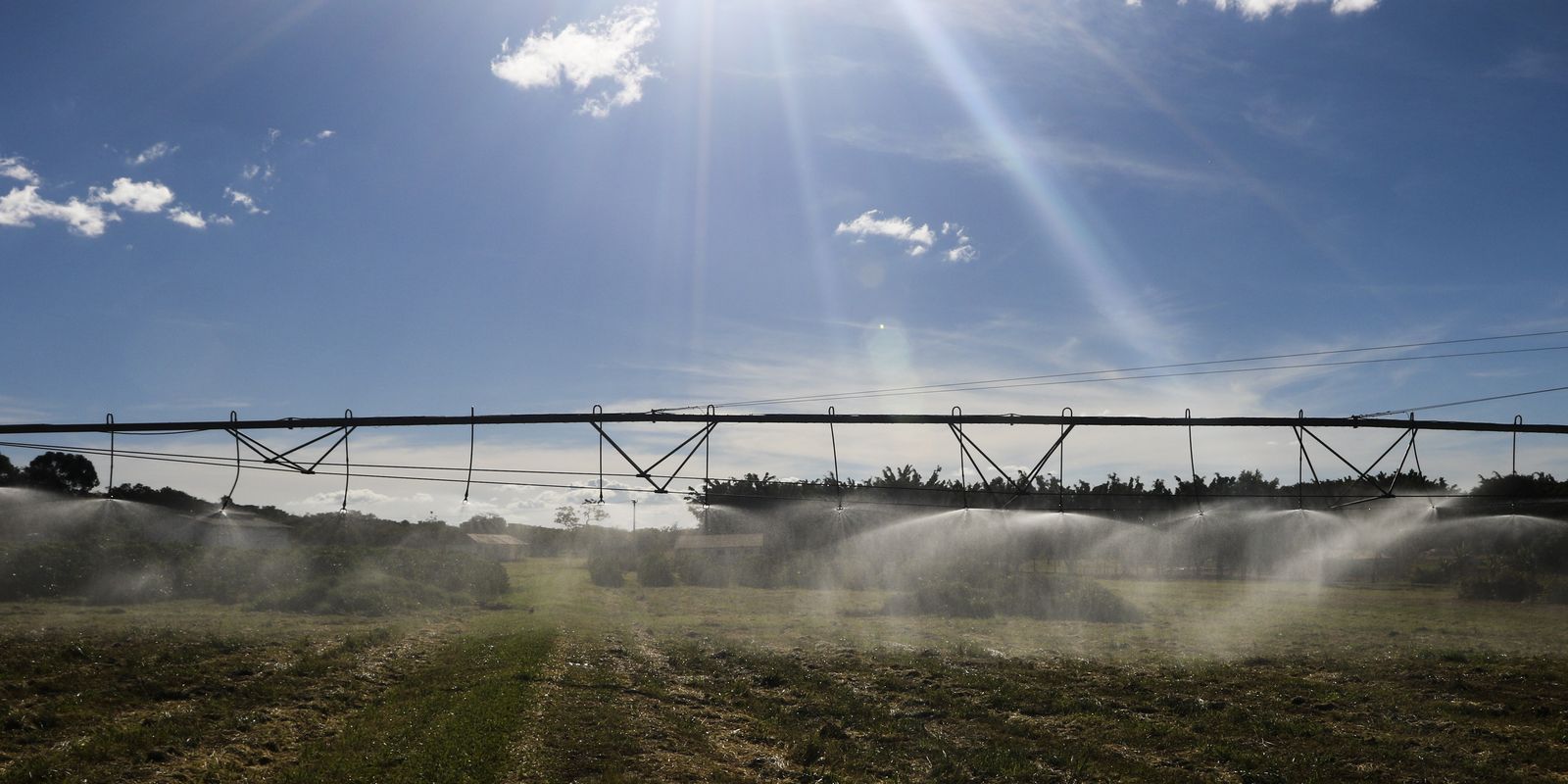 No momento, você está visualizando Entenda como ficam exportações agrícolas após acordo Mercosul-UE