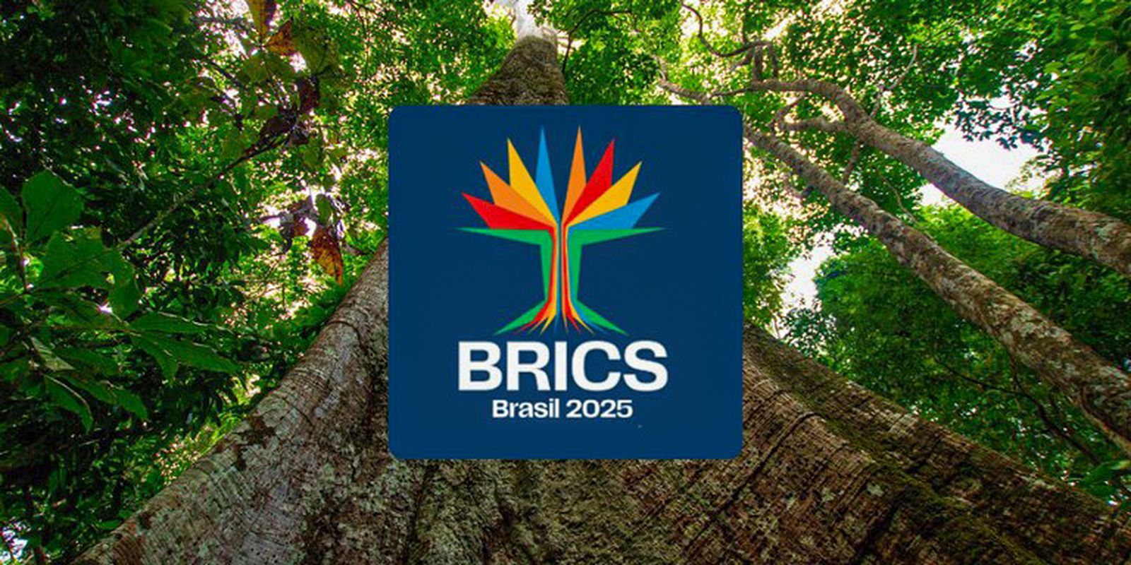 Leia mais sobre o artigo Brics têm mais de 40% da população e 37% do PIB mundiais