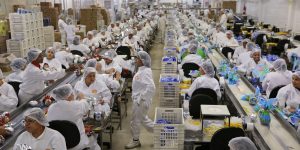 Leia mais sobre o artigo Indústria cresce 1,2% em março, após 5 meses de queda ou estabilidade