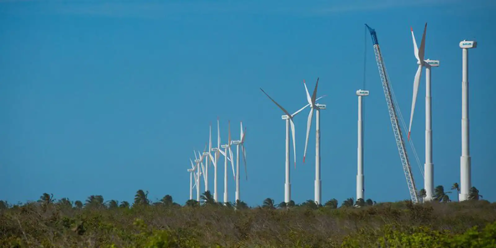 No momento, você está visualizando BB assina acordo de US$ 700 milhões para exportações e energia limpa