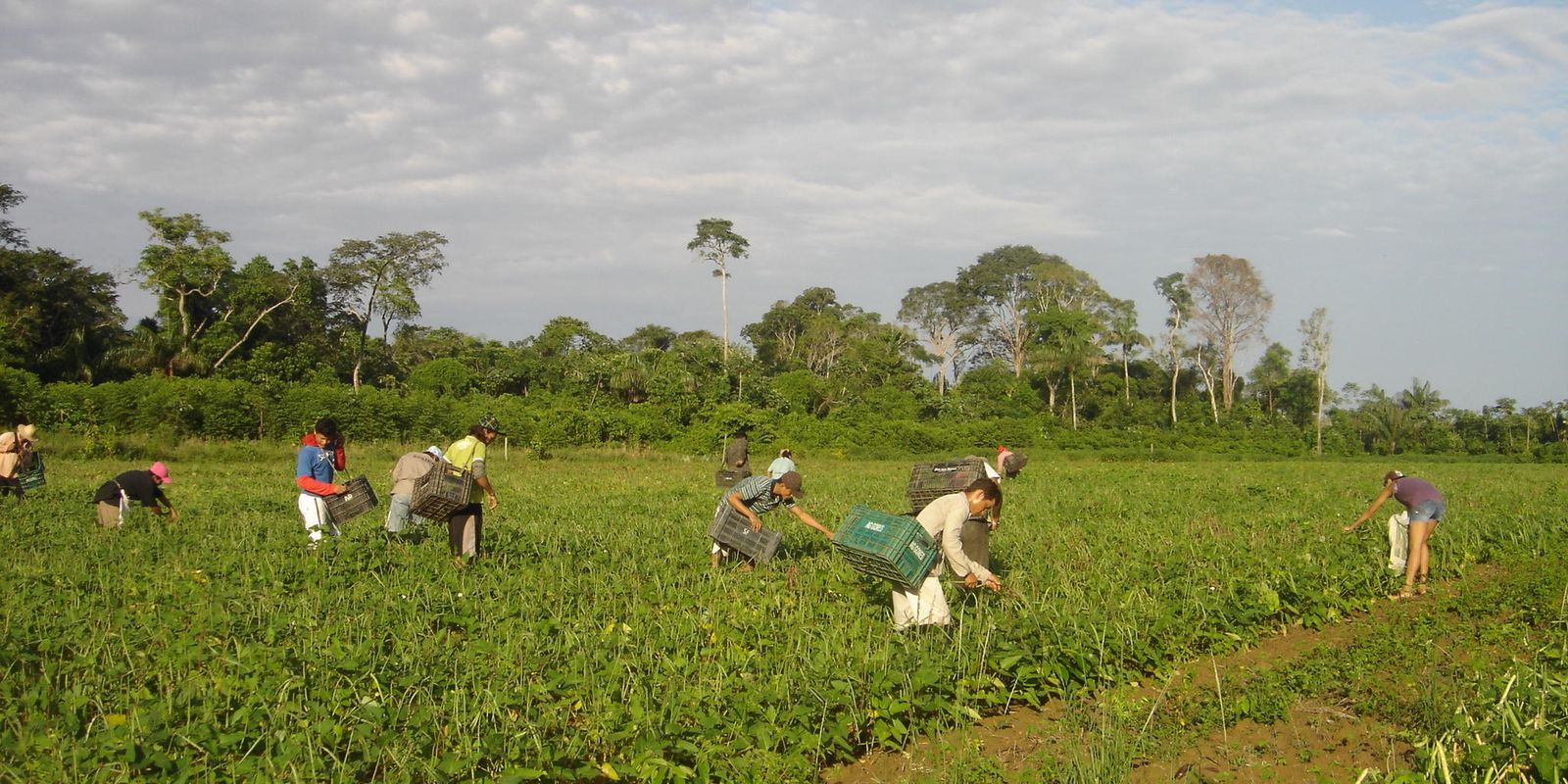 No momento, você está visualizando CMN reduz para R$ 200 mil limite de enquadramento no Proagro