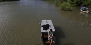 Leia mais sobre o artigo Seguro-defeso do pescador artesanal terá novas regras em outubro